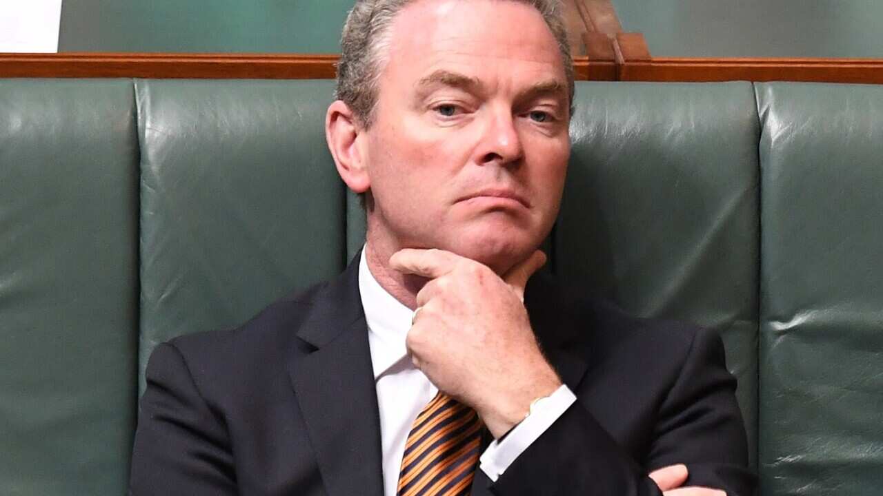 File image of Christopher Pyne 