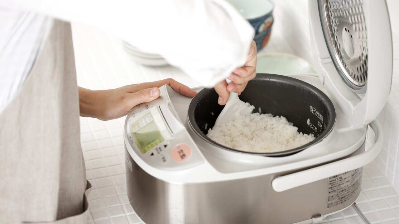 Person Preparing Rice in a Rice Cooker