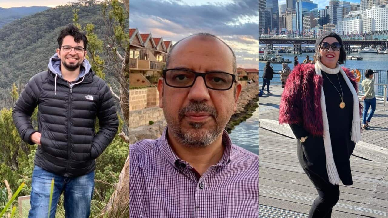 left to right: Mohammed Elgohary, Sameh Elgawadi, Ola Aly.