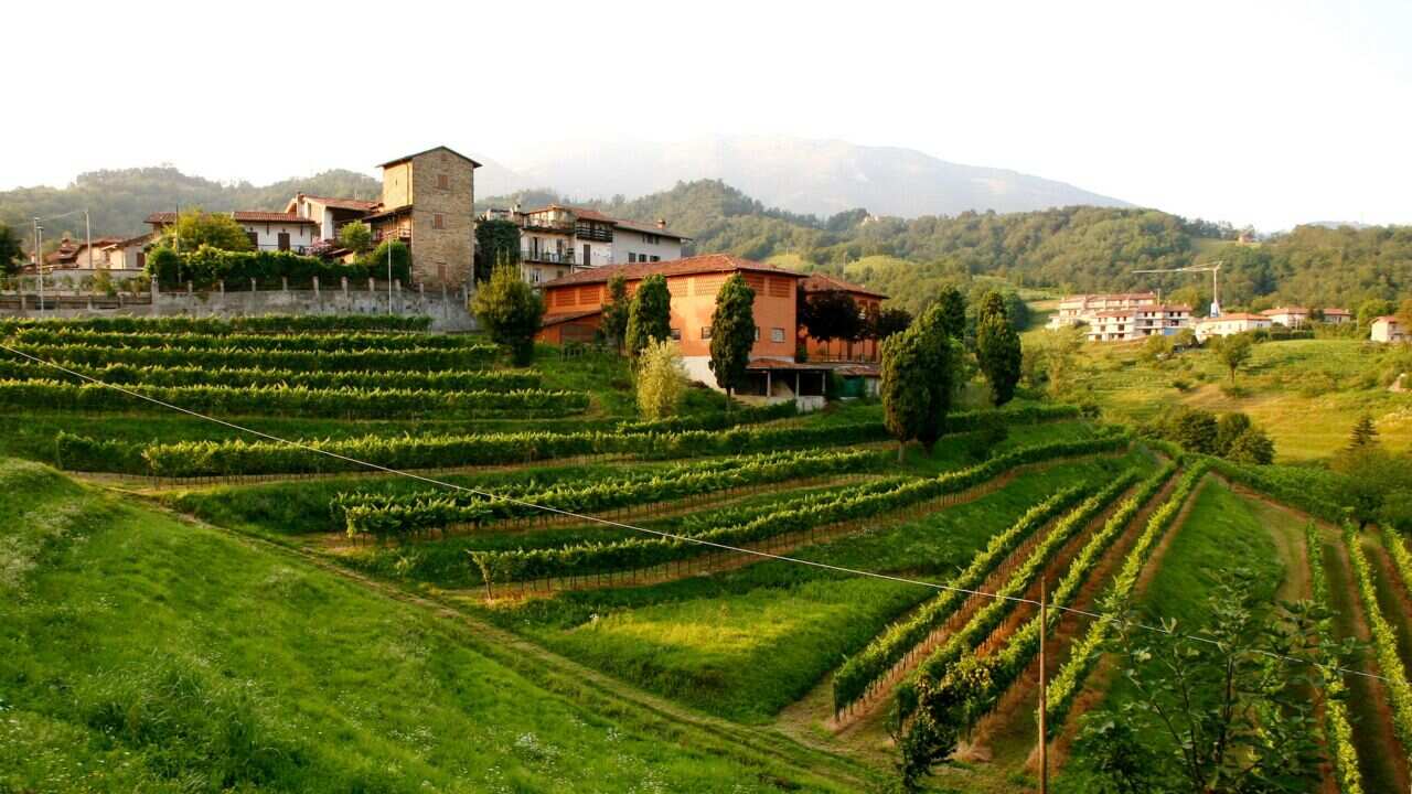 Agriturismo Il Belvedere.