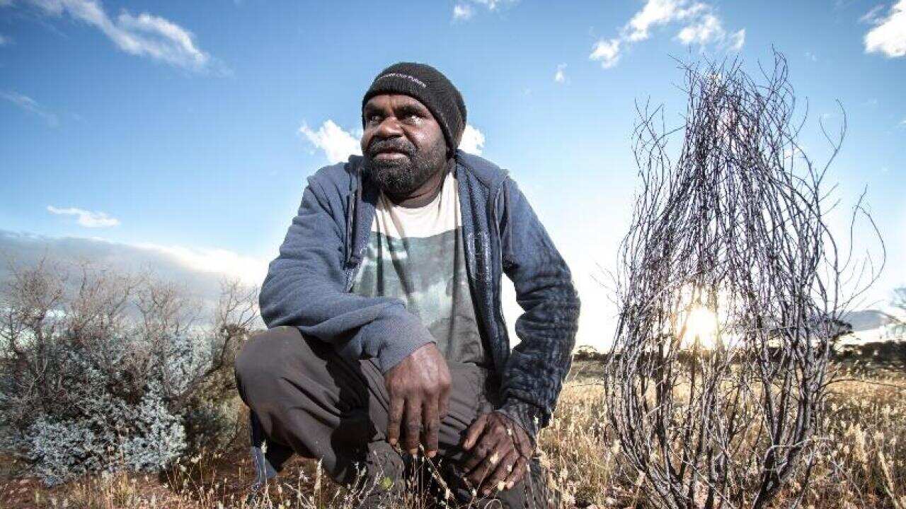 Timo Hogan National Award Aboriginal Indigenous