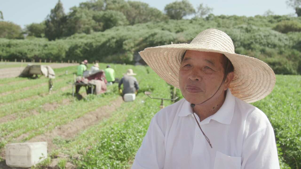 Robert Tang has farmed this land for more than 40 years. 